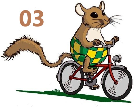 Radroute 03 - Kolonistenhof