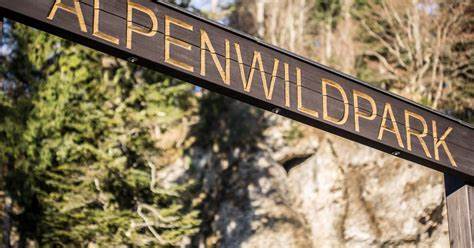 Rundwanderung Alpenwildpark mit Naturlehrpfad
